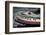 Bow Of A Tugboat, Philadelphia, PA-George Oze-Framed Photographic Print