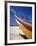 Bow of Fishing Boat, Silver Coast, Mira, Coimbra District, Portugal-Walter Bibikow-Framed Photographic Print