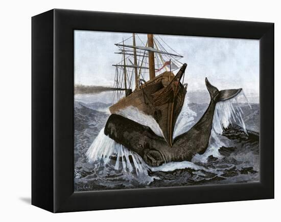 Bow of the Ship "Essex" Striking a Whale-null-Framed Premier Image Canvas