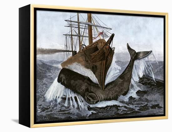 Bow of the Ship "Essex" Striking a Whale-null-Framed Premier Image Canvas