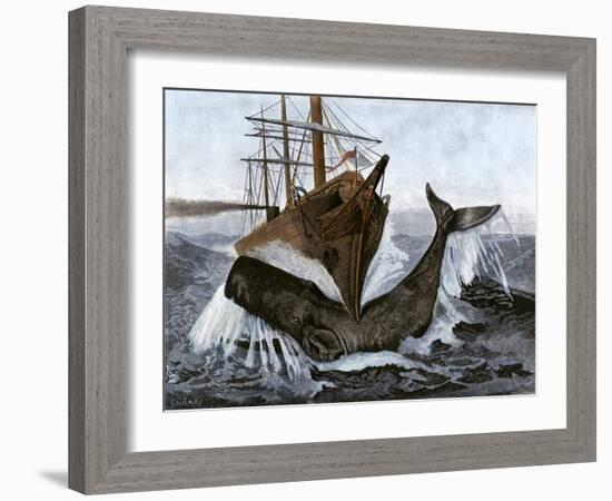 Bow of the Ship "Essex" Striking a Whale-null-Framed Giclee Print