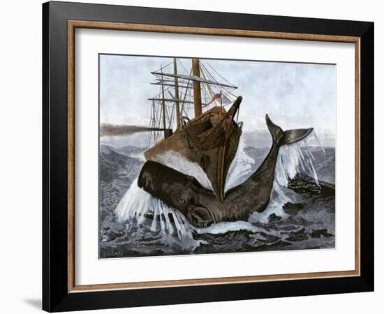 Bow of the Ship "Essex" Striking a Whale-null-Framed Giclee Print