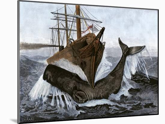 Bow of the Ship "Essex" Striking a Whale-null-Mounted Giclee Print