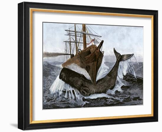 Bow of the Ship "Essex" Striking a Whale-null-Framed Giclee Print