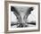 Bow of the USS Saratoga Warship-Arthur Sasse-Framed Photographic Print