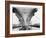 Bow of the USS Saratoga Warship-Arthur Sasse-Framed Photographic Print