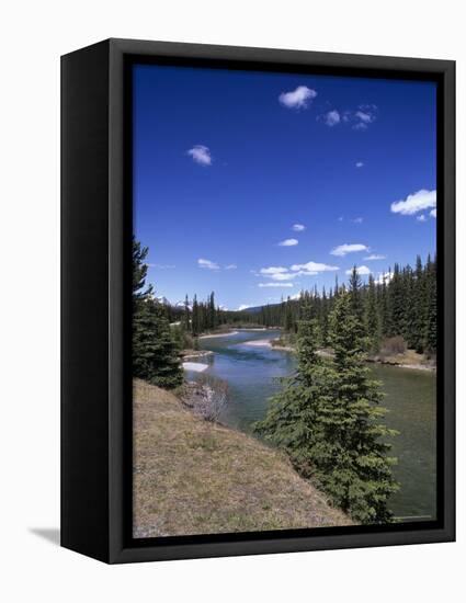 Bow River at Mount Temple Viewpoint on the Trans-Canada Highway, Banff National Park, Alberta-Pearl Bucknall-Framed Premier Image Canvas