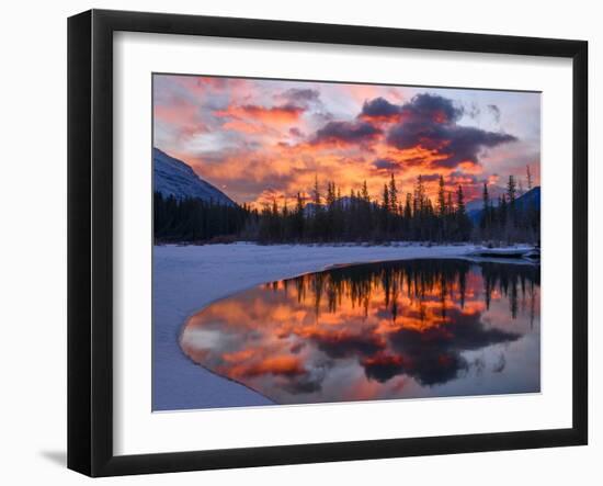 Bow River Bend-Michael Blanchette Photography-Framed Giclee Print