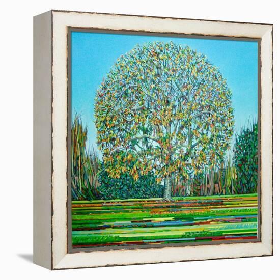 Bow Tree Autumn-Noel Paine-Framed Premier Image Canvas