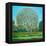 Bow Tree Autumn-Noel Paine-Framed Premier Image Canvas