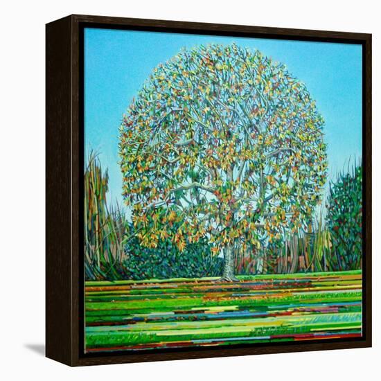 Bow Tree Autumn-Noel Paine-Framed Premier Image Canvas