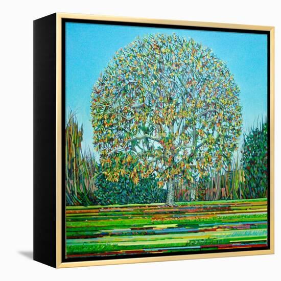 Bow Tree Autumn-Noel Paine-Framed Premier Image Canvas