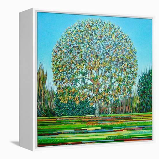 Bow Tree Autumn-Noel Paine-Framed Premier Image Canvas