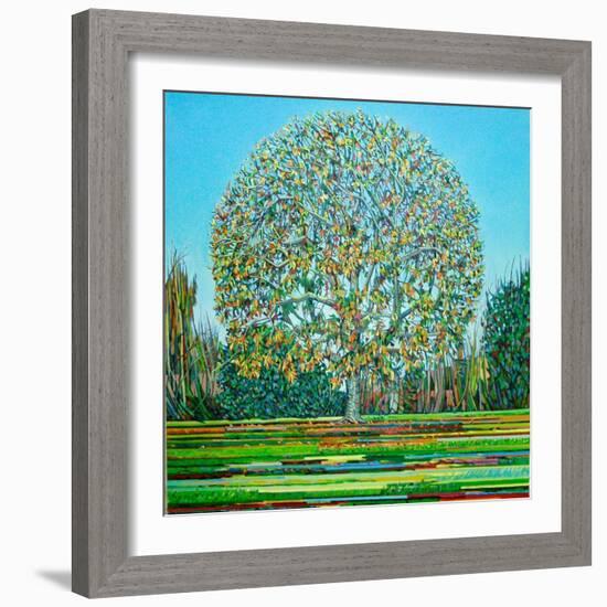 Bow Tree Autumn-Noel Paine-Framed Giclee Print