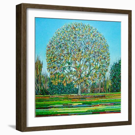 Bow Tree Autumn-Noel Paine-Framed Giclee Print