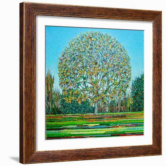 Bow Tree Autumn-Noel Paine-Framed Giclee Print