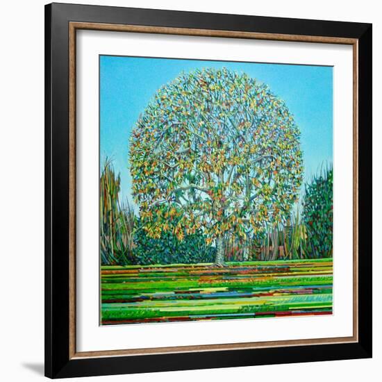 Bow Tree Autumn-Noel Paine-Framed Giclee Print