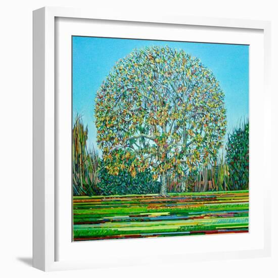 Bow Tree Autumn-Noel Paine-Framed Giclee Print