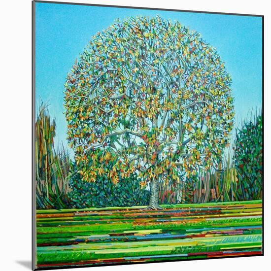 Bow Tree Autumn-Noel Paine-Mounted Giclee Print