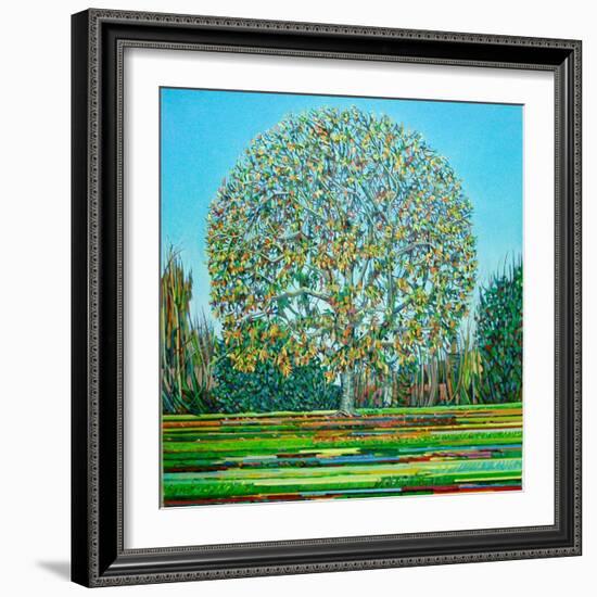 Bow Tree Autumn-Noel Paine-Framed Giclee Print