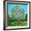 Bow Tree Autumn-Noel Paine-Framed Giclee Print