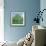 Bow Tree Spring-Noel Paine-Framed Giclee Print displayed on a wall