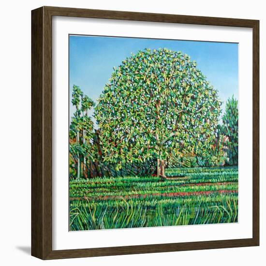 Bow Tree Spring-Noel Paine-Framed Giclee Print