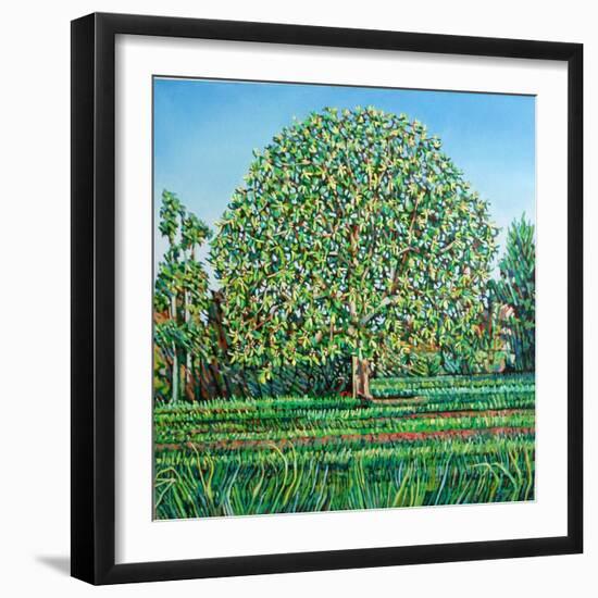 Bow Tree Spring-Noel Paine-Framed Giclee Print