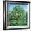 Bow Tree Spring-Noel Paine-Framed Giclee Print