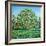 Bow Tree Spring-Noel Paine-Framed Giclee Print