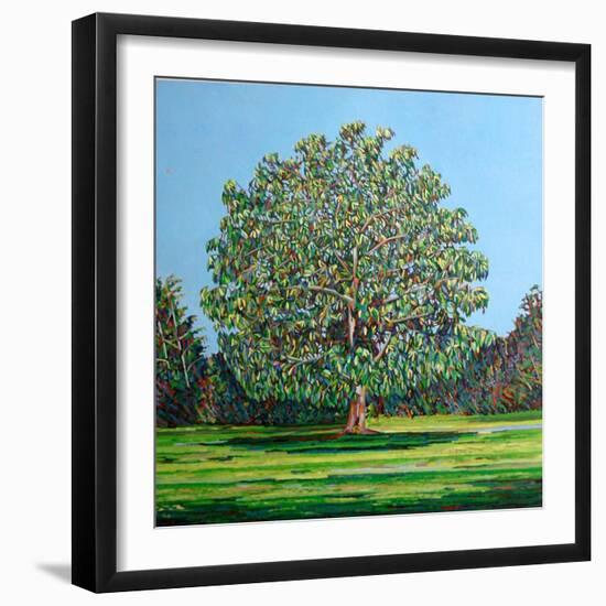 Bow Tree Summer-Noel Paine-Framed Giclee Print