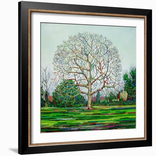 Bow Tree Winter-Noel Paine-Framed Giclee Print