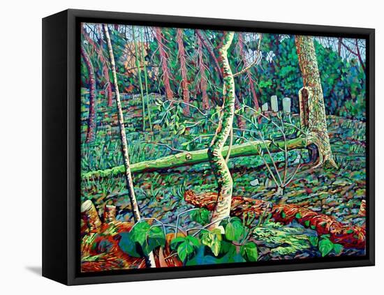 Bow Trench 2-Noel Paine-Framed Premier Image Canvas