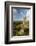 Bowerman's Nose in evening light, Dartmoor, Devon, UK-Ross Hoddinott-Framed Photographic Print