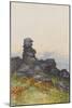 Bowerman?S Nose, Manaton Dartmoor , C.1895-96-Frederick John Widgery-Mounted Giclee Print