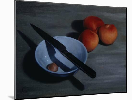 Bowl, Knife and Nectarines, 2009-James Gillick-Mounted Giclee Print