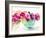 Bowl of Blooms-Lanie Loreth-Framed Art Print