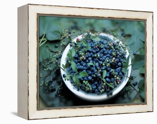 Bowl of Blueberries-ATU Studios-Framed Premier Image Canvas