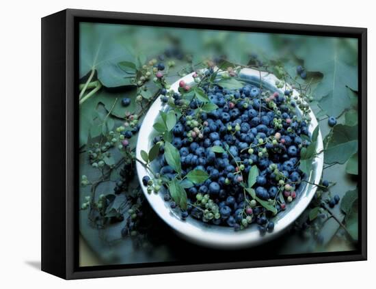 Bowl of Blueberries-ATU Studios-Framed Premier Image Canvas