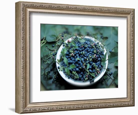 Bowl of Blueberries-ATU Studios-Framed Photographic Print