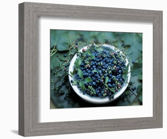 Bowl of Blueberries-ATU Studios-Framed Photographic Print