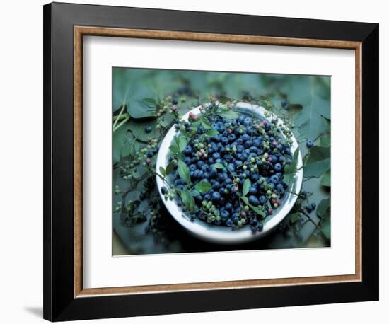 Bowl of Blueberries-ATU Studios-Framed Photographic Print