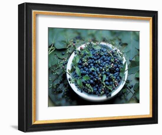 Bowl of Blueberries-ATU Studios-Framed Photographic Print