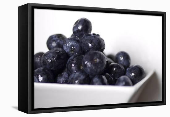 Bowl of blueberries.-Michele Niles-Framed Premier Image Canvas