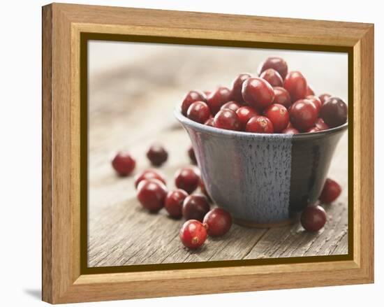 Bowl of cranberries-Fancy-Framed Premier Image Canvas