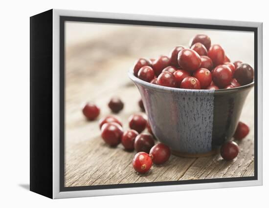 Bowl of cranberries-Fancy-Framed Premier Image Canvas