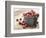 Bowl of cranberries-Fancy-Framed Photographic Print