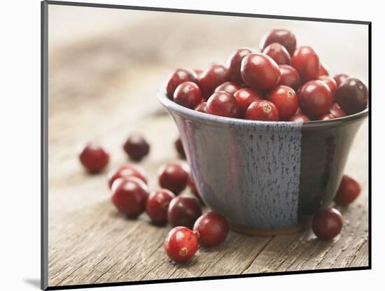 Bowl of cranberries-Fancy-Mounted Photographic Print