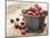 Bowl of cranberries-Fancy-Mounted Photographic Print