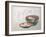 Bowl of Fish and Noodles (New Year Meal)-Teisai Hokuba-Framed Giclee Print